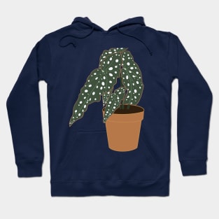 Begonia Maculata Plant – Clay Pot Hoodie